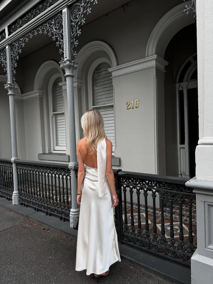 Desero Jacare Roma Maxi size 8 (6-8) Maxi Dress  Rents with Maggie