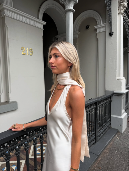 Desero Jacare Roma Maxi size 8 (6-8) Maxi Dress  Rents with Maggie